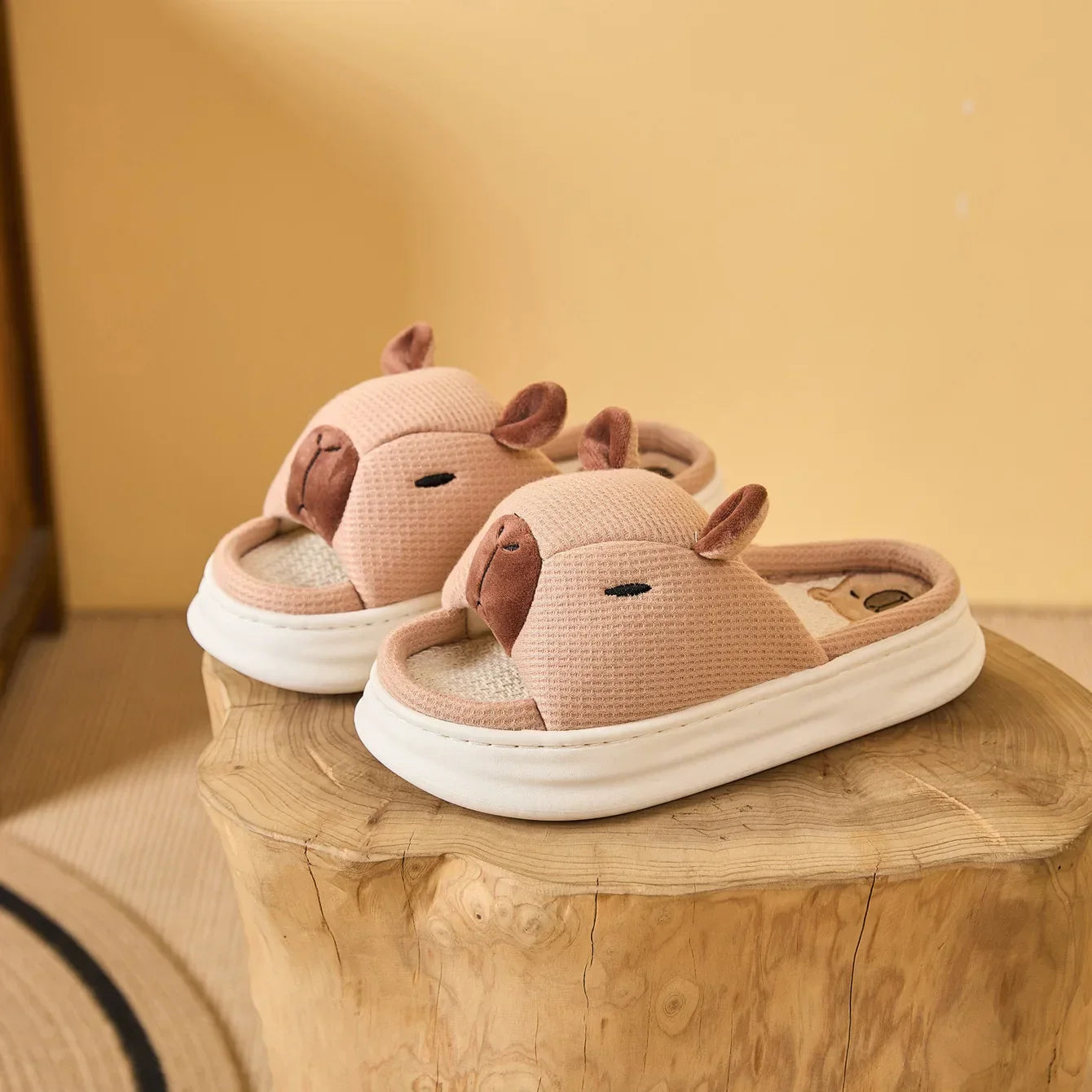 Chaussons Animaux Magiques